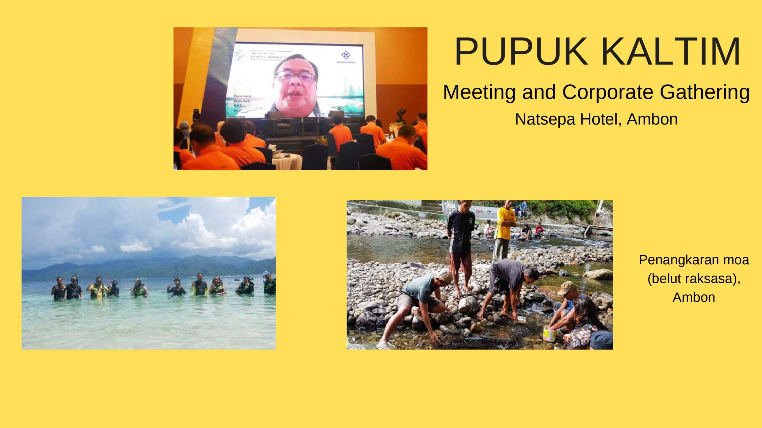 credential work inc 2025 compressed page 0010